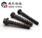 DHS35 Rail Screw Spike